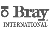 Bray International